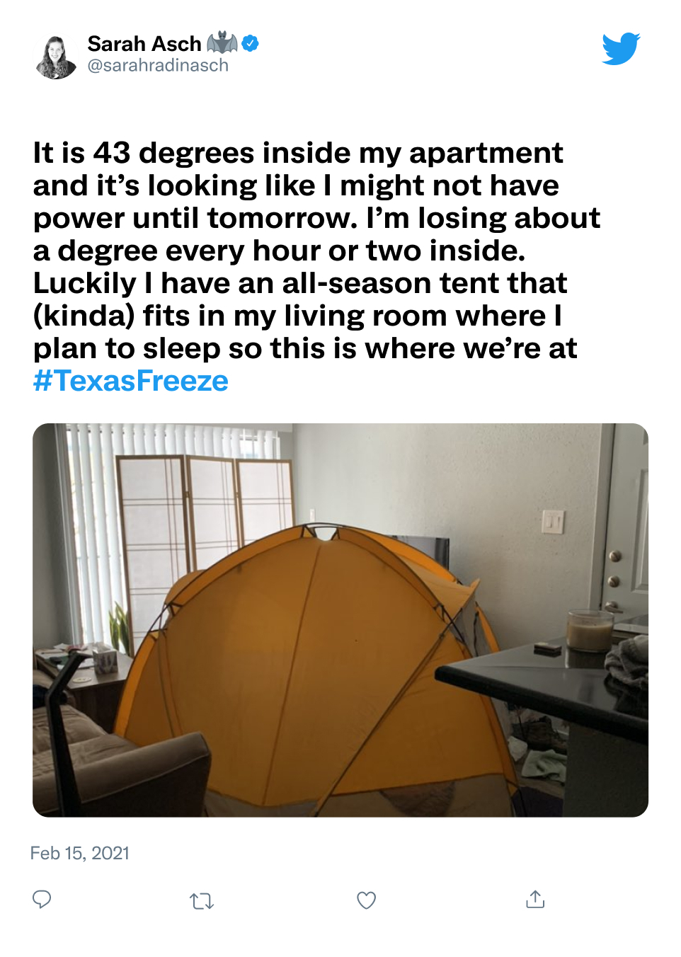 Texas Freeze Tweet image