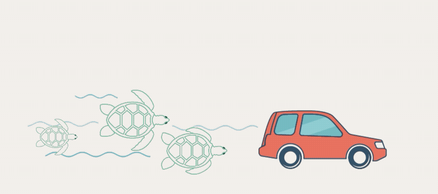 Texas Freeze Turtle gif